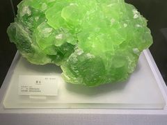 -湖南省地质博物馆