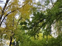 -四川大学(华西校区)