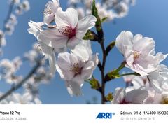 -花开海上生态园