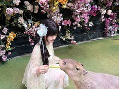 -正佳雨林生态植物园