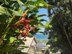 -普吉岛凯悦酒店