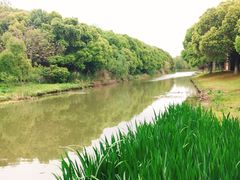 -昆山城市生态森林公园