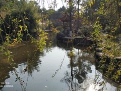 -富乐山