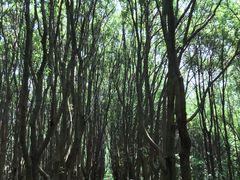 -同里国家湿地公园