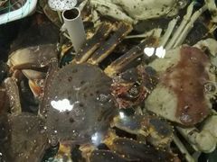 android_upload_pic-蟹之国·精品蟹料理(极地店)