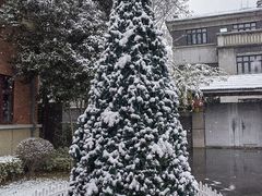 -颐和路民国时期公馆风貌区