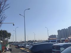 -江滩湿地公园