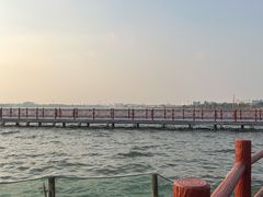 -鹅湖玫瑰文化园