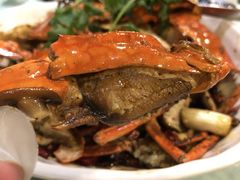 -石头咕(葵蓬店)