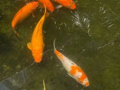 -漫笙舍Manse·咖啡·民宿
