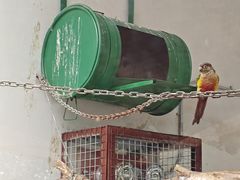 -合肥野生动物园