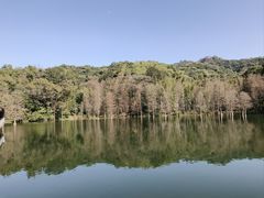 -广州市白云山风景名胜区