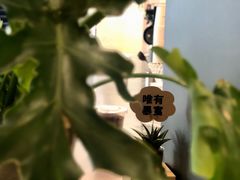 -Seesaw Coffee(上海国金中心店)