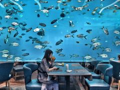 -瑞德姆美人鱼海底演艺主题餐厅(亚龙湾店)