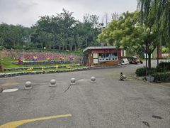 -欢乐松鼠谷