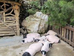-幽岚山·童话森林