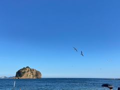 -棒棰岛宾馆景区