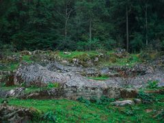 -武陵山森林公园