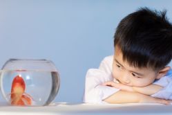 -江阴偶来路儿童摄影(江阴市新体育中心体育场店)