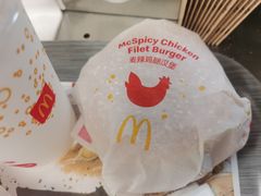 -麦当劳(捞品城店)