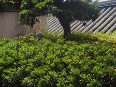 -外滩·云南人家(昆明旗舰店)