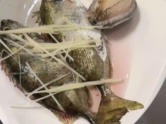 -青蓬蒸汽海鲜·深圳老字号·团建聚会(壹方城店)