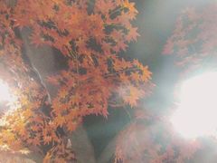 -活鱼馆(宜兴埠店)