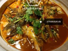 -魏铭鱼头捞饭(晋阳路店)