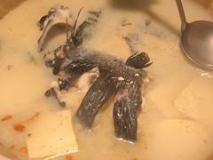 -滇小鱼·云南野生菌火锅(上杭路店)