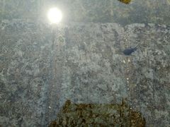 -苏州河梦清园环保主题公园