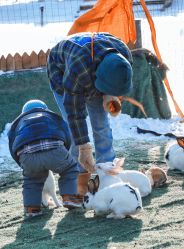 -268童话露营农场·烧烤·团建
