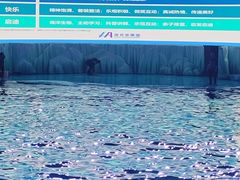 -海合安青岛极地海洋公园