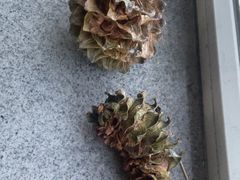 -长白山万达锦华套房酒店