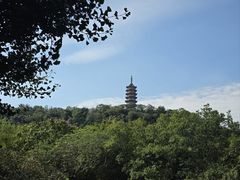 -焦山风景区