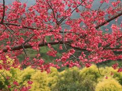 -福清灵石山国家森林公园