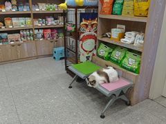 -四月宠物医院·猫专科·心脏专科·内科(转塘店)