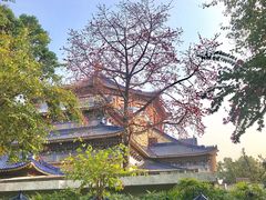 -广州中山纪念堂