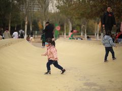 -长白岛森林公园