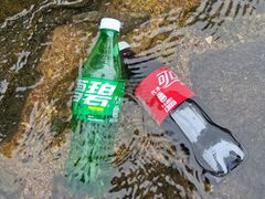 -北仑森林植物园