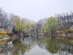 -棒棰岛宾馆景区