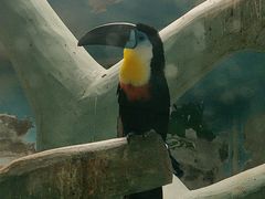 -石家庄市动物园