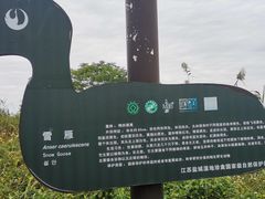 -盐城丹顶鹤湿地生态旅游区