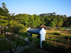 -谷丰健康凤贤居酒家