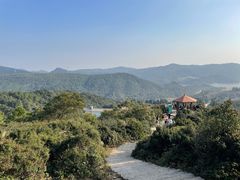-大姆山草场