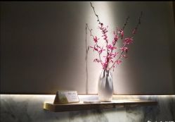 -美壹生诊所皮肤管理中心·海菲秀&Legacy美白舱