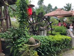 -青城甲(青城山店)