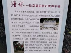 -腾冲洞山温泉村