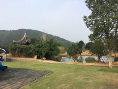 -龙寺生态园