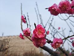 -北京明城墙遗址公园