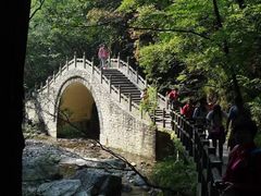 -牛背梁国家森林公园